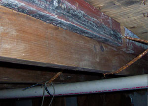 Rotting, decaying wood from mold damage in Duncan
