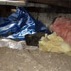 A crawl space filled with loose insulation, debris, and a large tarp in Roberts Creek.