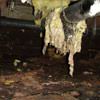 Fiberglass insulation dripping off a pipe in Gibsons.