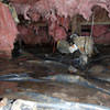 Fiberglass insulation dripping off some heating ducts in a wet crawl space in Cobble Hill.