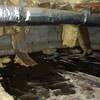 Fiberglass insulation dripping off a floor joist in a soaked crawl space with a think black liner in Saanich.