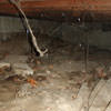 A crawl space with spiderwebs, mould, and uneven floors in Spring Island.