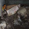 A rotting box sitting on a rock in a crawl space in Whistler.