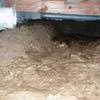 A muddy, disgusting crawl space with little or no head room in Black Creek.