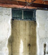 Flooding through basement windows in a Black Creek home.