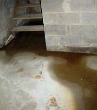 Flooding floor cracks by a hatchway door in Chemainus