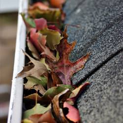 Clogged gutters filled with fall leaves  in Roberts Creek