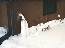 IceGuard® Installed Duncan